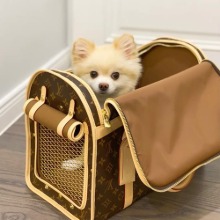 pet travel bag [2color]